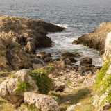 ...fino a quando non vediamo disvelarsi davanti ai nostri occhi l�ambito mare. Siamo nella foce della lama, un�insenatura dominata da scogli aguzzi e sporgenti, addolciti unicamente dal movimento dell�acqua limpida e dalle verdi foglie dell�edera che si arrampicano e si rincorrono sulle pareti frastagliate